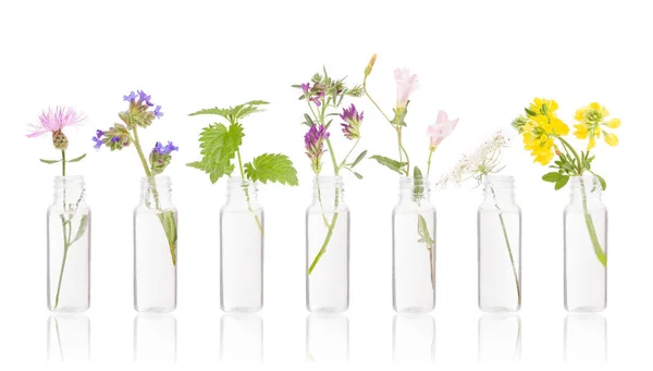 瓶精油与新鲜的草药 瓶香草在白色 Floriterapia Bacha — 图库照片