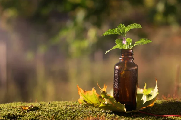 Homeopatia Medicamentos Naturais Medicina Alternativa Frasco Castanho — Fotografia de Stock