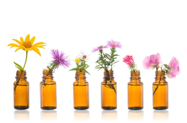Natural Remedies Bottle Bach Bottles Essential Oil Herbs Holy Flower — Stock Photo, Image