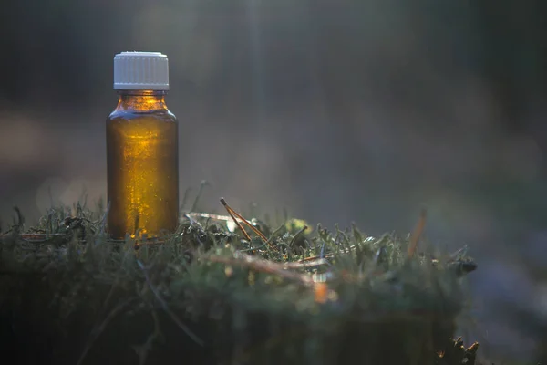 Ätherisches Kräutertherapie Flasche Floriterapie Und Naturheilkunde — Stockfoto