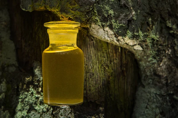 Botella mágica - medicina naturlana . —  Fotos de Stock