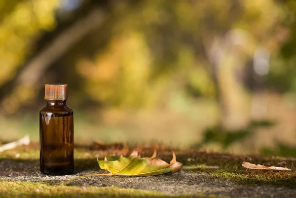 Aceite esencial de aromaterapia - espacio para el texto . —  Fotos de Stock