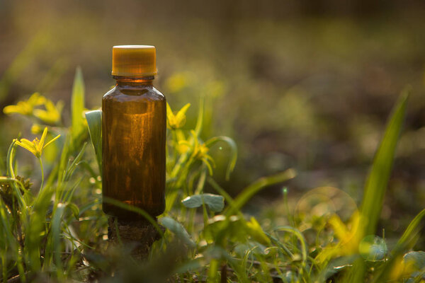 Bach - floral therapy. Alternative medicine