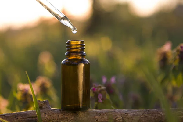 Naturheilmittel, Aromatherapie - Tropfer & braune Flasche. — Stockfoto