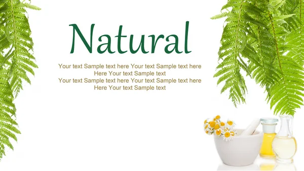 Natural aromotherapy white background - space for text. — Stock Photo, Image