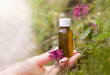 Mantarların arka planında özü olan bir şişe..