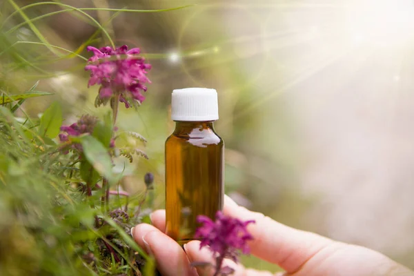 Bottle Extract Background Mushrooms — Stock Photo, Image