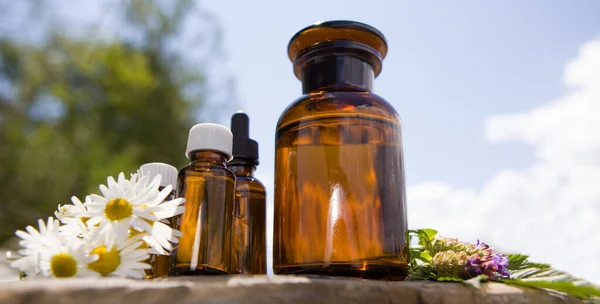 Hierbas Frescas Los Diferentes Tipos Aceites Para Masajes Aromaterapia —  Fotos de Stock