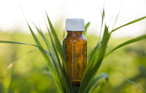 Original Composition Bottle Oil Grass — Stock Photo, Image