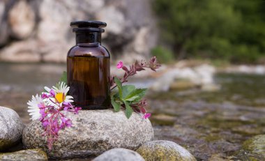 Kavanozlarda yağ özü olan bitkiler. Tıbbi konsept