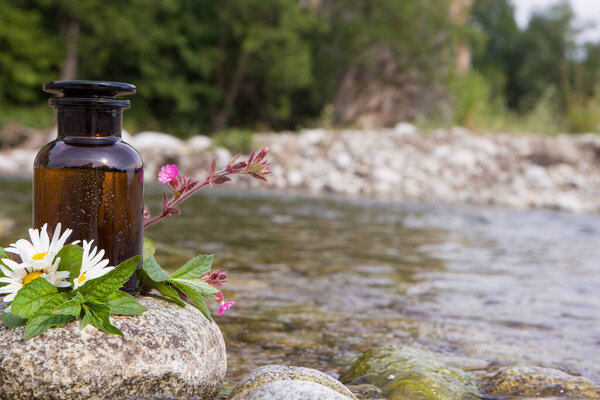 Herbal medicine preparation with herbs and flowers - empty space, text.