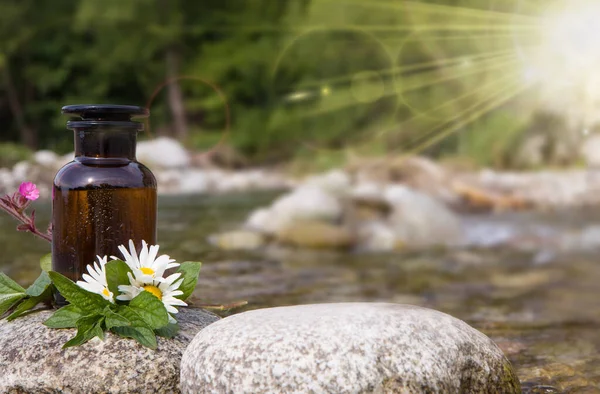 Preparação Ervas Medicinais Com Ervas Flores Óleo Essencial Aromaterapia — Fotografia de Stock