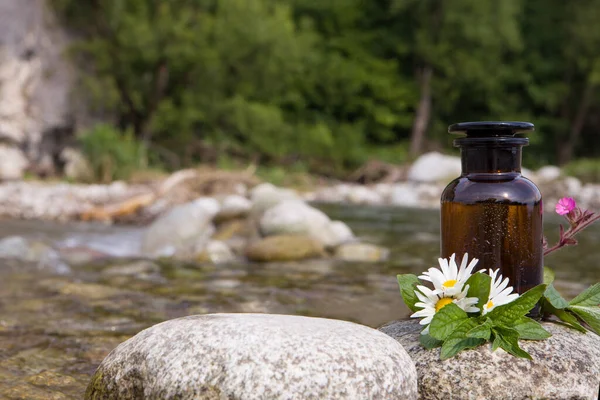 Bitki ve çiçeklerle bitkisel ilaç hazırlama, aromaterapi..