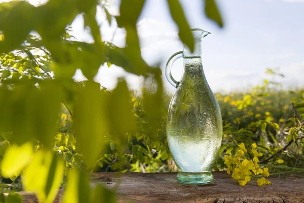 Bottle Rape Oil Rape Blossoms Copy Spece Text — Stock Photo, Image