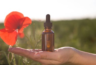 Küçük bir şişede çiçek ve özü. Seçici odak.