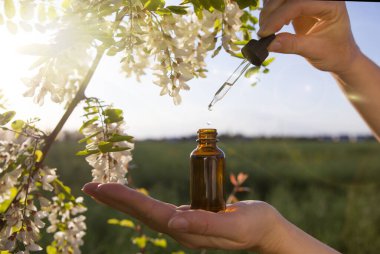 Çiçeklerle tedavi - akasya ağacı özü. BACH