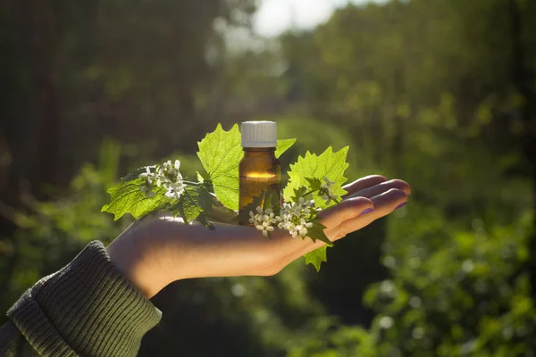 Hand Aroma Oil Bottle Bach Flower Essence Blooming Nettle — Stock Photo, Image