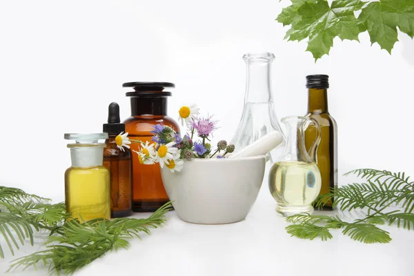 Medicina Homeopática Flores Manzanilla Sobre Fondo Blanco — Foto de Stock