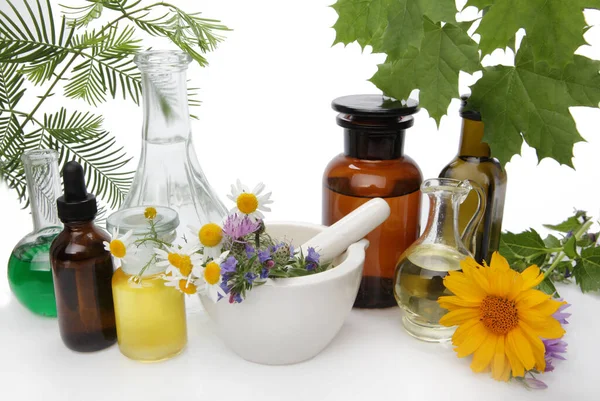 Homeopatia Cabeçalho Banner Com Monte Ervas Flores Diferentes — Fotografia de Stock