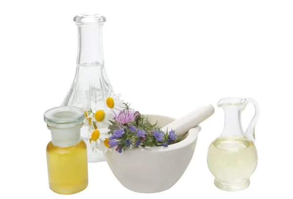 Set Dishes Herbs Composition Herbal Therapy — Stock Photo, Image