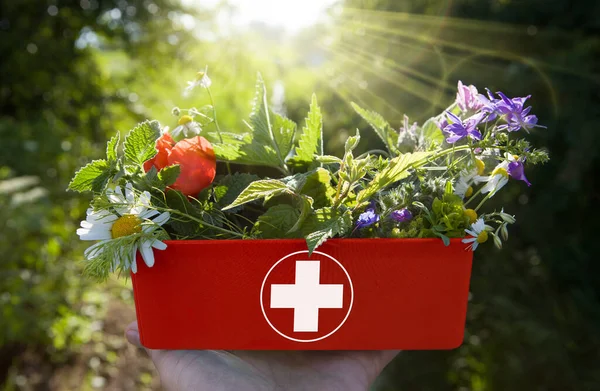 Concept Médecine Alternative Herbes Médicinales Fraîches Trousse Premiers Soins Rouge — Photo