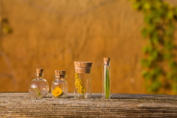 Set Con Botellas Diferentes Hierbas Frescas Sobre Fondo Amarillo —  Fotos de Stock