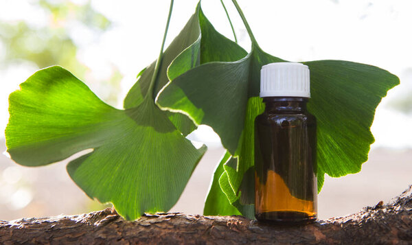 Ginkgo essential extract in a bottle and fresh leave.