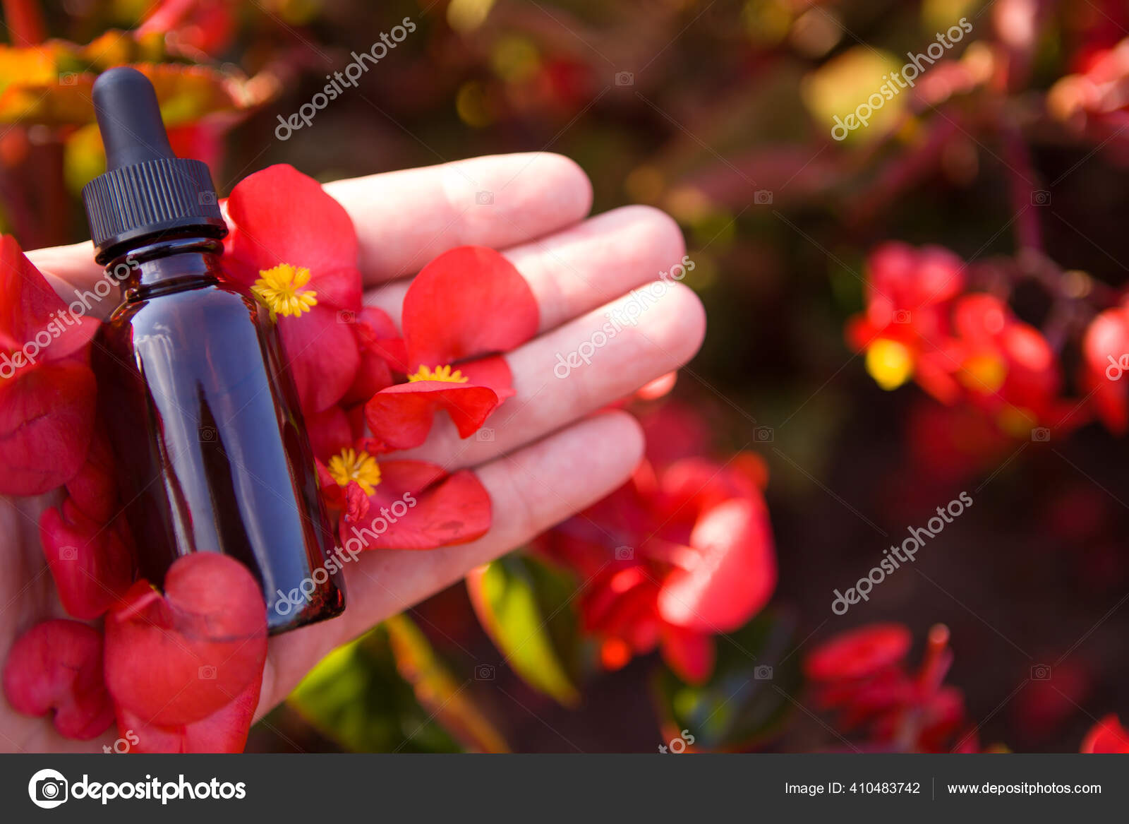 Download Medical Glass Essential Oil Bottle Flowers Dropper Bottle Mockup Stock Photo Image By C Maxshot 410483742