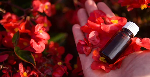 Bouteille Compte Gouttes Maquillée Thérapie Bach Concept Fleurs Rouges — Photo