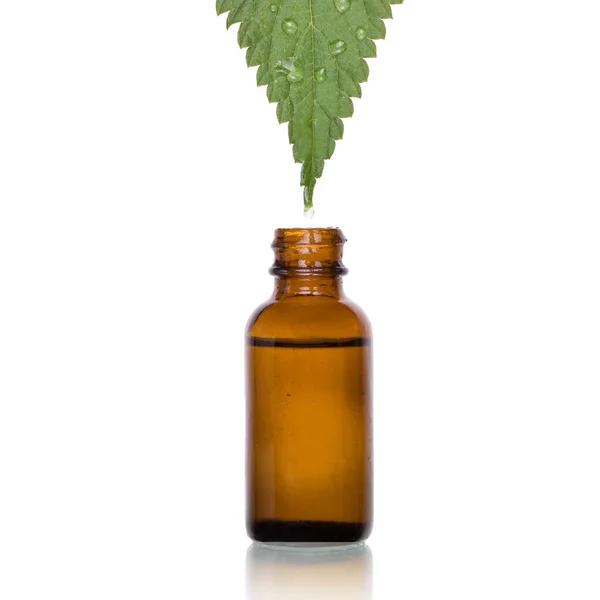 Nettle Leaf Extract Drop Falling Brown Bottle — Stock Photo, Image