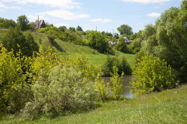 Bezuzhevo Village Russia May 2018 Pronya River Bank Country Houses — Stock Photo, Image