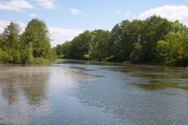 Avrupa Rus manzara. Nehir kıyısında, gökyüzü ağaçlar. Mayıs 2018.
