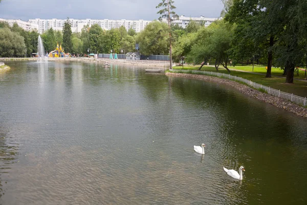 莫斯科 俄罗斯 2018年7月18日 池塘和天鹅在 Lianozovo 这个公园位于莫斯科东北部 — 图库照片