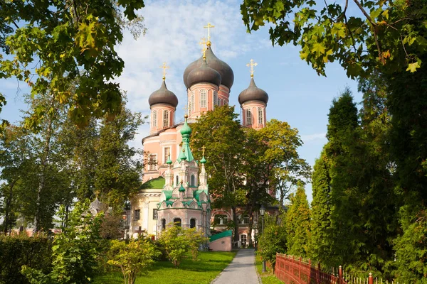 莫斯科 2018年8月28日 Lestvichnik 大教堂 上帝的母亲大教堂和树在 Donskoy 修道院在 Donskaya 这座修道院成立于1591年 — 图库照片