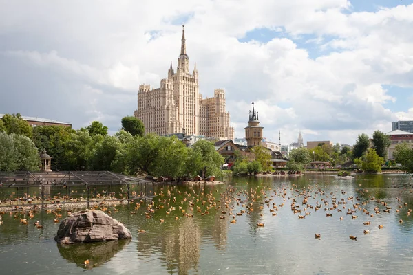 Moskova Rusya Temmuz 2018 Birçok Ördek Gölet Hayvanat Bahçesi Bolshaya — Stok fotoğraf