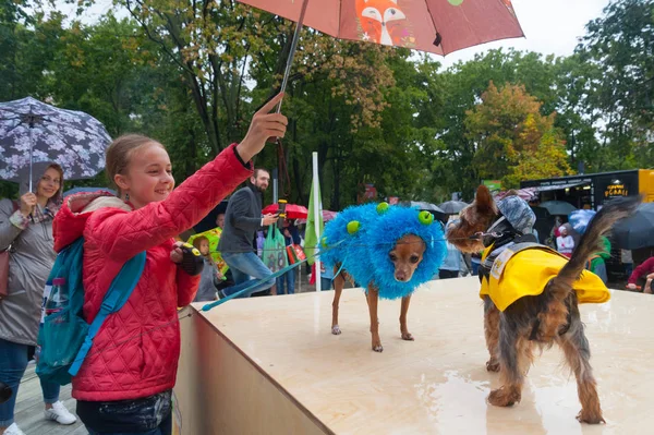 Moskou Rusland September 2018 Meisje Bedrijf Paraplu Kleine Honden Krasnogvardeiskie — Stockfoto