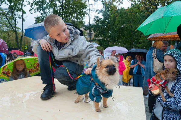 Moscow Russia September 2018 Children Playing Small Dogs Krasnogvardeiskie Ponds — Stock Photo, Image