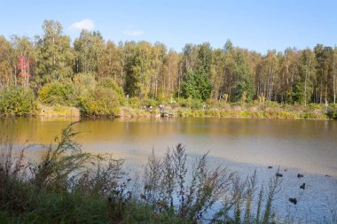 Moskova - 20 Eylül 2018: Gölet shore, ördekler, insanlar ve (Elk Adası) Losiny Ostrov Milli Parkı güneşli sonbahar gün ormanda. Losiny Ostrov Rusya ilk Milli Parkı olan.