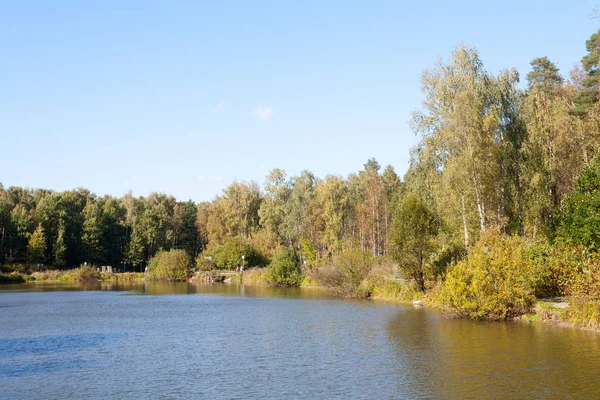 Moskou Rusland September 2018 Bomen Elk Vijver Oever Losiny Ostrov — Stockfoto