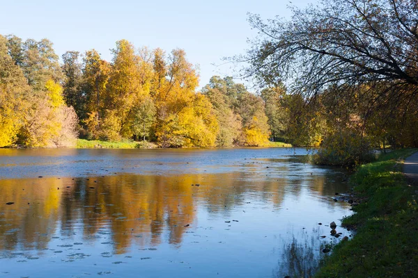 Podzimní Krajina Žluté Stromy Rybníkem Modrá Obloha Krásný Slunečný Den — Stock fotografie