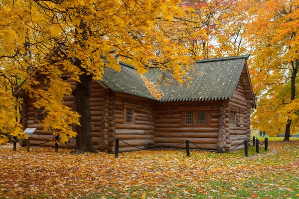 Casa de madera y árboles amarillos 02.10.2019 — Foto de Stock
