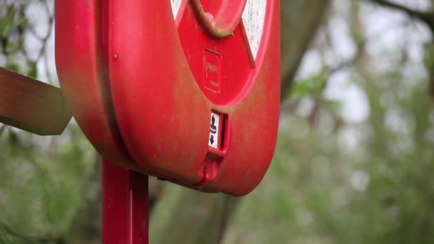 Mésange Bleue Volant Dans Station Bouée Sauvetage Ils Ont Construit — Video