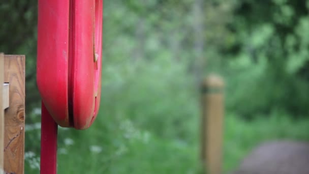 Blue Tit Flying Lifebuoy Station Have Built Nest — Stockvideo