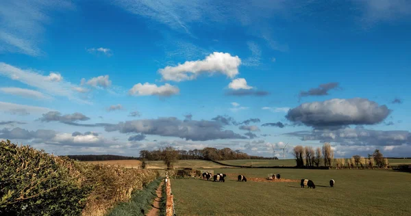 Ländliche Landschaft Einem Schönen Tag — Stockfoto