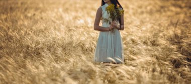 Yazın çimenlikte, gün batımında güneşli bir günde bir kız tarlada çiçek topluyor.