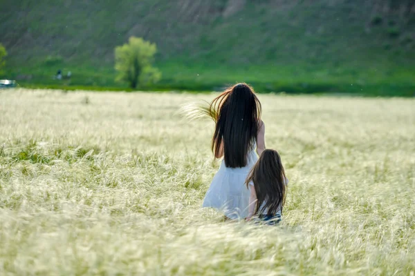 Erba Estate Nel Campo Tramonto Una Giornata Sole Una Ragazza — Foto Stock