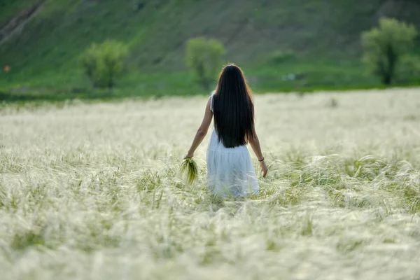 夏日的黄昏时 田野里的草在夕阳西下时 一个女孩跑过田野采花 — 图库照片