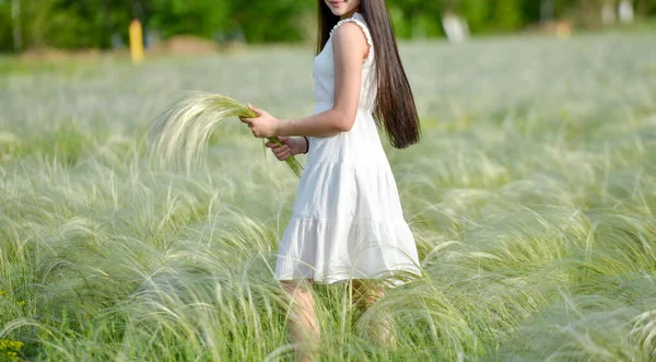 Erba Estate Nel Campo Tramonto Una Giornata Sole Una Ragazza — Foto Stock