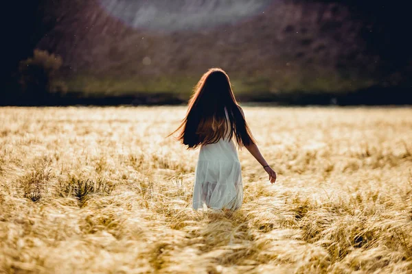 夏日的黄昏时 田野里的草在夕阳西下时 一个女孩跑过田野采花 — 图库照片
