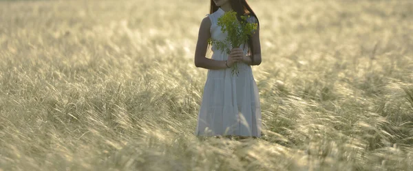 Erba Estate Nel Campo Tramonto Una Giornata Sole Una Ragazza — Foto Stock